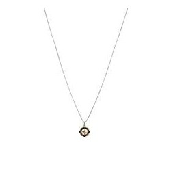 Liu Jo men's necklace with wind rose MLJ219