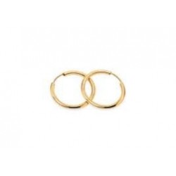 hoops with retractable hook in yellow gold O3255G