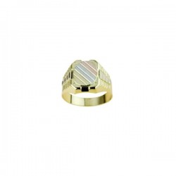 bague bouclier homme en coffret fantaisie en or jaune A2363G