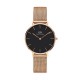 daniel wellington DW00100161