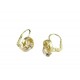 Fancy earrings with leverback hook 02021GBR