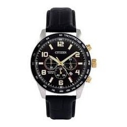 Citizen Herren-Chronograph AN8166-05E