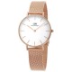 Daniel Wellington petite rose