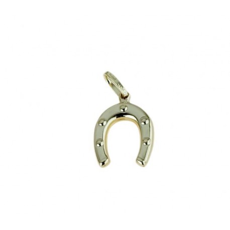 Boxed horseshoe pendant C1243G