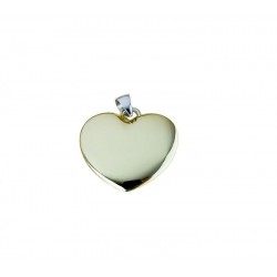 Boxed heart pendant C1561BG