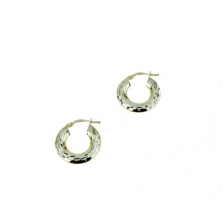 Faceted circles earrings O2640G