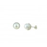 Perlen- und Zirkonohrringe O2081B
