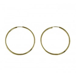 Boucles d'oreilles crochet rétractable O3258G