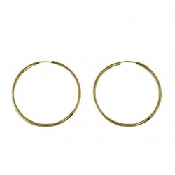 Retractable hook earrings O3258G