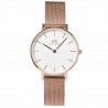 Daniel Wellington zierliche goldene Uhr DW00100348