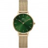 Daniel Wellington women's watch DW00100479
