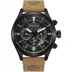 Timberland men's watch TDWGF2132102