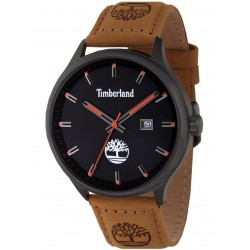 Timberland men's watch TDWGB2102201