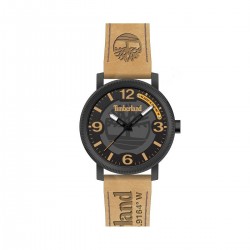 Montre homme Timberland TDWGA2101501