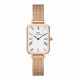Montre femme Daniel Wellington DW00100687