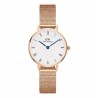 Daniel Wellington Women's Watch DW00100681