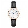 Montre femme Daniel Wellington DW00100683